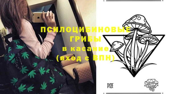 прущая мука Горняк