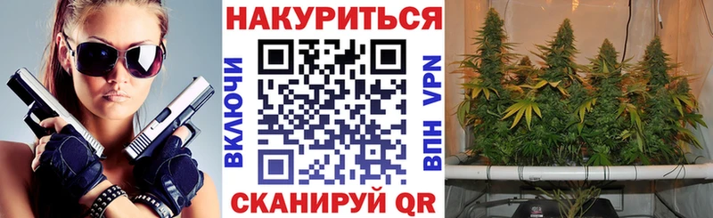 Купить  Курчалой  Бошки Шишки конопля 